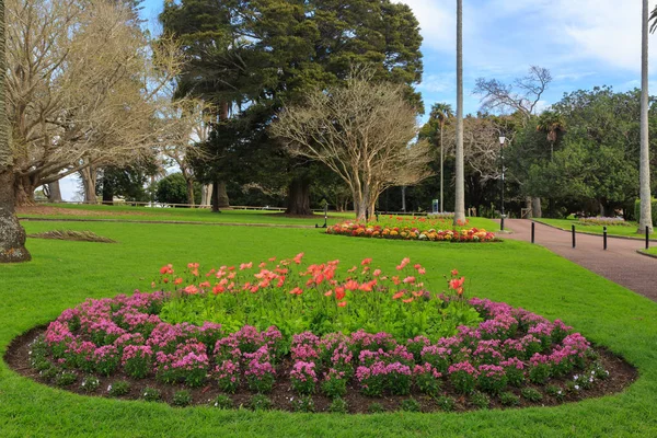 Okrągłe Kwietniki Pełne Maków Innych Kolorowych Roślin Kwitnących Auckland Domain — Zdjęcie stockowe