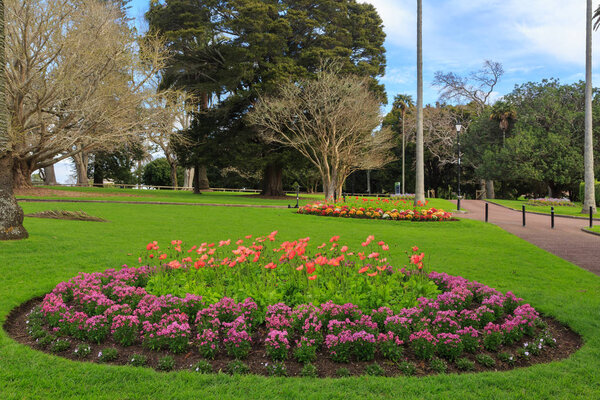 Циркулярные клумбы, полные маков и других красочных цветущих растений в Окленде, парк в Окленде, Новая Зеландия
