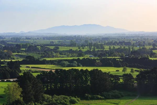 Yeni Zelanda 'nın Waikato bölgesinde Maungatautari Dağı (Sığınak Dağı) sislerin arasından yükselen bir tarım ülkesi manzarası