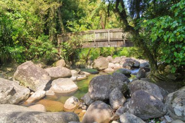 Yeni Zelanda ormanında kaya dolu bir dereyi geçen ahşap bir köprü. Kaimai Dağları 'ndaki Wairere deresinde çekilmiş. 