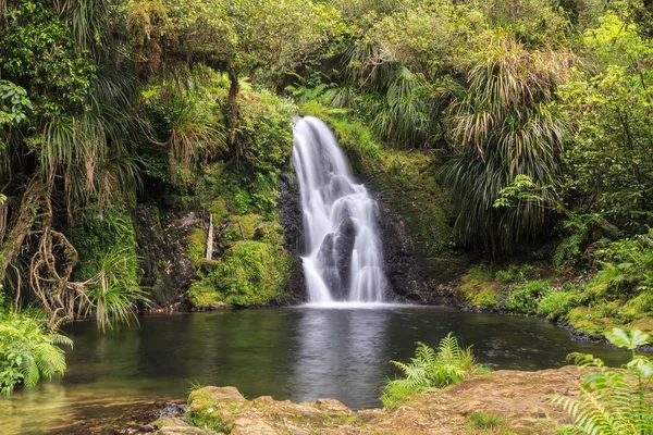Güzel Whataroa Şelalesi Yeni Zelanda Daki Otanewainuku Ormanı Nın Derinliklerinde — Stok fotoğraf