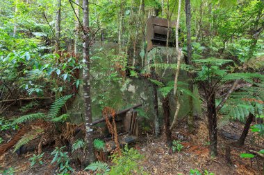 1900 'lerin başında Yeni Zelanda' daki Waiorongomai Vadisi 'nde terk edilmiş altın madenciliği ekipmanları. Bu cevher damga makinesi ormanı yenilemek için kullanılıyor. 