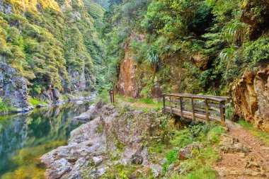 Yeni Zelanda 'daki Karangahake Vadisi' nde yürüyüş yolu olan nehir manzarası.