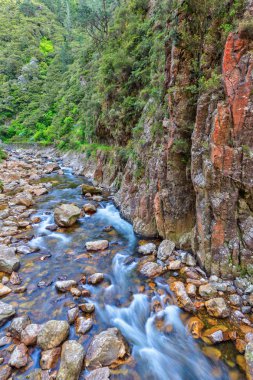 Derin bir vadinin dibinden akan kayalık bir nehir (Yeni Zelanda 'daki Karangahake Vadisi' ndeki Waitawheta Nehri)) 