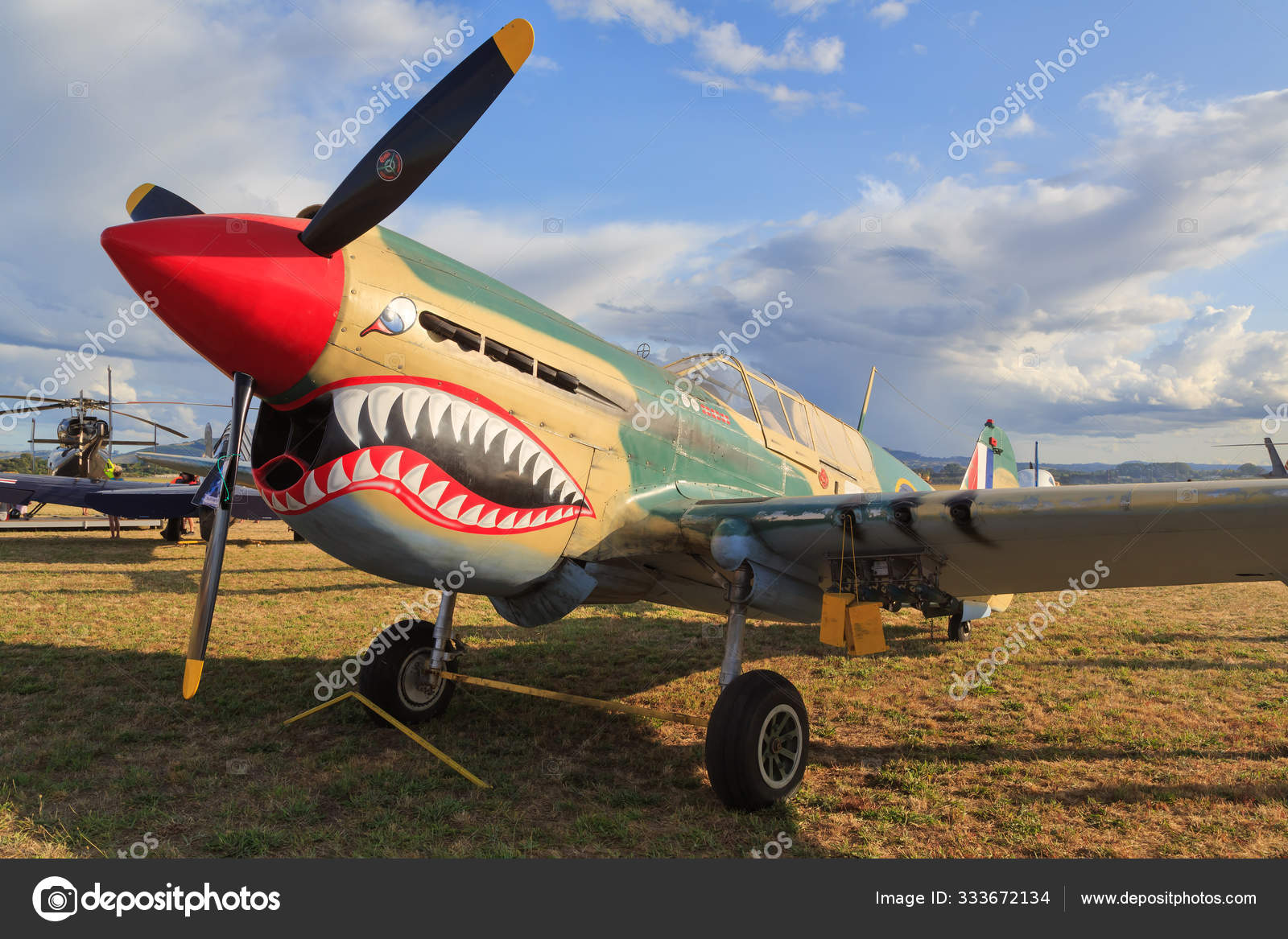 Fighter Jet With Shark Face