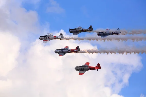 Equipo Acrobático Formación Roaring 40S Volando Aviones Harvard Texan Época —  Fotos de Stock