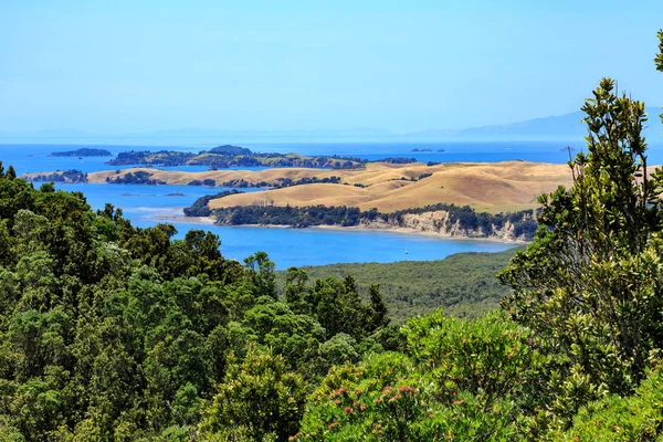 Hauraki Körfezi Adaları, Yeni Zelanda. Rangitoto Adası 'nın ormanlık yamaçlarından çimenli Motutapu Adası' na bakıyorum.