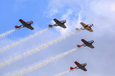 WW2 era Harvard (T-6 Texan) planes flown by the 