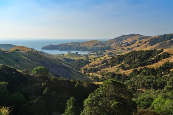 Uma Vista Costeira Sobre Península Coromandel Nova Zelândia Meados Verão — Fotografia de Stock