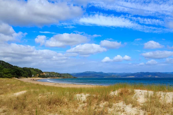 Playa Kuaotunu Pequeño Asentamiento Justo Norte Whitianga Península Coromandel Nueva — Foto de Stock