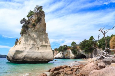 Katedral Koyu, Coromandel Yarımadası, Yeni Zelanda. Te Hoho Rock ünlü doğal kaya kemerinin önünde okyanustan geliyor.