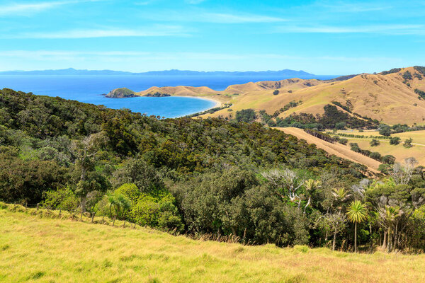 Fletcher Bay, the last stop on the remote northern tip of the Coromandel Peninsula, New Zealand. In the background is Great Barrier Island