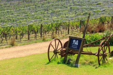 Te Motu Vineyard, Waiheke Adası, Yeni Zelanda 'ya üzüm bağları ve insanları karşılayan bir tabela. 14 Mart 2020