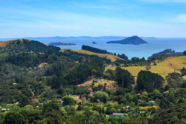 Paisaje Península Coromandel Nueva Zelanda Primer Plano Parte Ciudad Coromandel — Foto de Stock