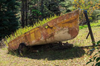 Eğreltiotlarıyla dolu ve sıradışı bir bahçe ekicisine dönüşmüş çatlamış ve ufalanan bir kayık.