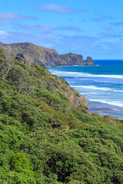 Batı Auckland Bölgesi, Yeni Zelanda 'daki Bethells Sahili' nde bulunan sarp kayalıklarla kaplı engebeli bir sahil şeridi.