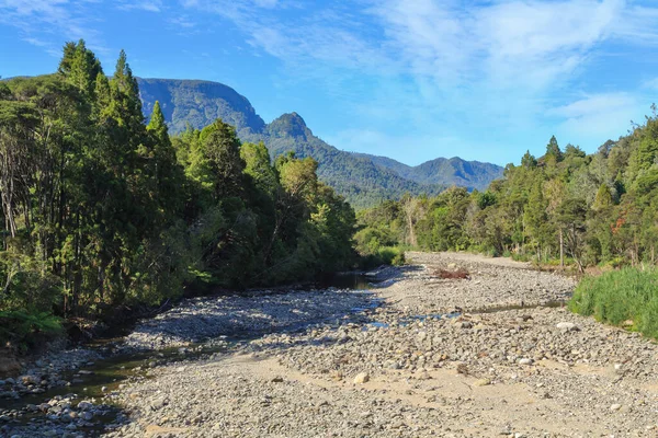 Ett Landskap Coromandel Forest Park Nya Zeeland Nästan Torr Stenig — Stockfoto