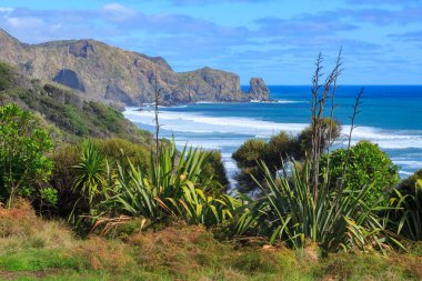 Yeni Zelanda 'nın batısındaki Auckland Bölgesi' nin Bethells Sahili 'ndeki sahil şeridi, Te Henga geçidinde görüldü. Arka planda Raeakiaki Point var.
