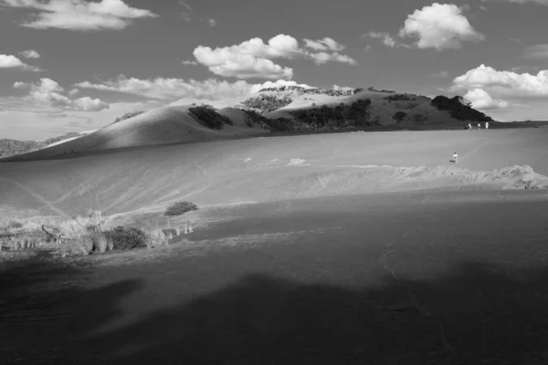The giant inland sand dune at Bethells Beach in the western Auckland Region, New Zealand, a popular attraction for bodyboarders. Black and white