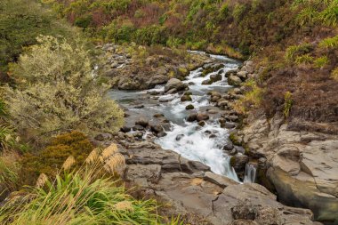 Mahuia Rapids, Yeni Zelanda, Tongariro Ulusal Parkı, Pukeonake Stream 'in manzaralı bir alanı.