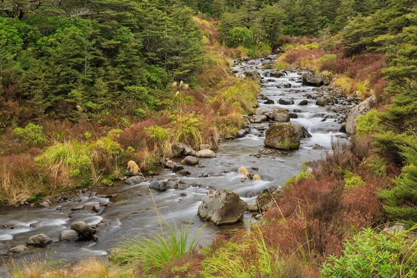 Whakapanui Stream Sluttningarna Berget Ruapehu Nya Zeeland Omgiven Bokskog Och — Stockfoto