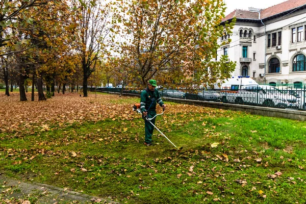 男はバックのイズヴォア公園でブラシカッターを使用して新鮮な草をトリミング — ストック写真