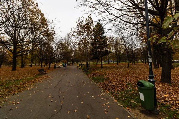 Buenos días, callejones del Parque Izvor. Gente corriendo, caminando, yendo a — Foto de Stock
