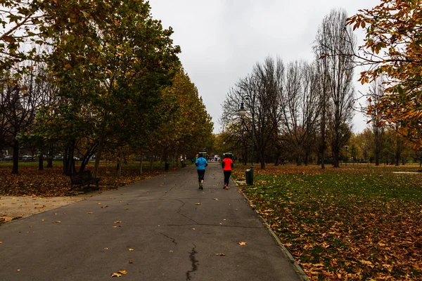 Morgen, Gassen des Izvor-Parks. Menschen laufen, gehen, gehen — Stockfoto