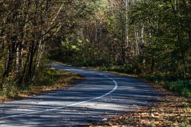 Sonbahar konsepti. Sonbahar kompozisyonu. Önde sonbahar boş yolu
