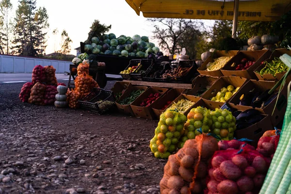 Herbstgemüse zum Verkauf (Kartoffeln, Kohl, Paprika, Grün) — Stockfoto
