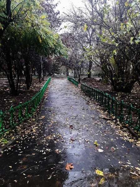 Parque en un día lluvioso en Bucarest, Rumania, 2019 . — Foto de Stock