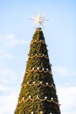 Bükreş 'teki Noel pazarında süslenmiş köknar ağacı.