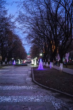Noel ağacı ve ışıklar Targoviste 'de kış tatili pazarında