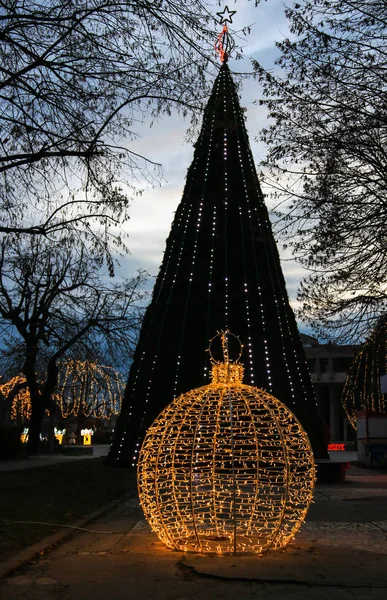 Targoviste冬季假日市场的圣诞树和灯 — 图库照片