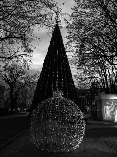 Árbol de Navidad y luces en el mercado de vacaciones de invierno de Targoviste —  Fotos de Stock