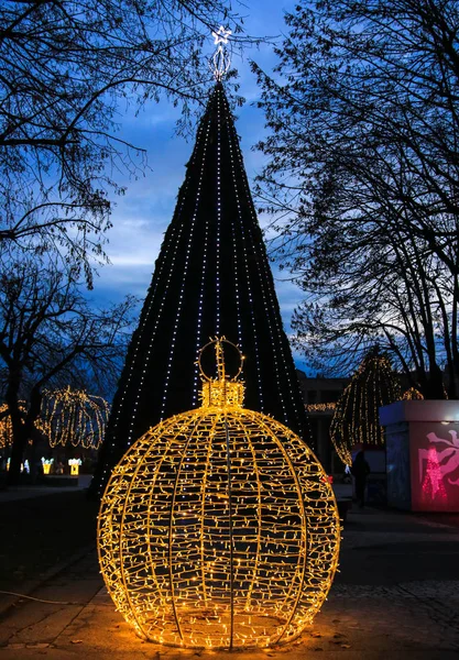 Targoviste冬季假日市场的圣诞树和灯 — 图库照片
