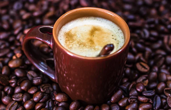 Κοντινό πλάνο του φλιτζανιού του καφέ, ψητά φασόλια καφέ στο κόκκινο backgroun — Φωτογραφία Αρχείου