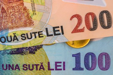 Romen parasının ayrıntılı fotoğrafı, Romen Lei 'nin makro fotoğrafı, clos