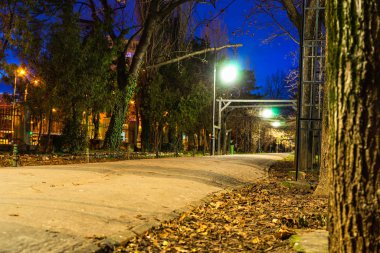 Kış manzarası, Bükreş 'teki Cismigiu Gardens Parkı' nda boş bir ara sokak,