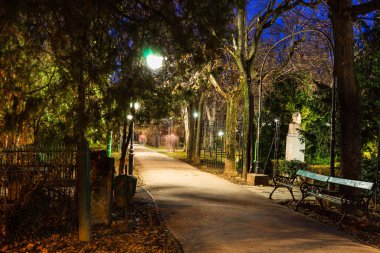 Kış manzarası, Bükreş 'teki Cismigiu Gardens Parkı' nda boş bir ara sokak,