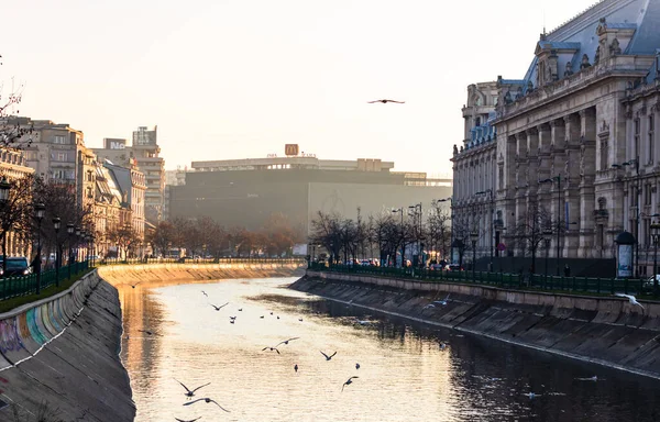 The Justice Palace building (Palatul Justitiei) in a winter morn — Stock Photo, Image