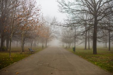 Izvor 'un güzel halk parkında bir yolun manzarası