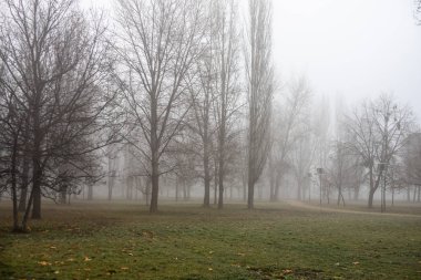 Izvor 'un güzel halk parkında bir yolun manzarası