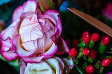 Kahverengi notalı renkli çiçekler. Çiçeklerin GR görünümünü detaylandır