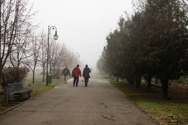 Szcenírozott kilátás az út keresztül a gyönyörű nyilvános park Izvor — Stock Fotó