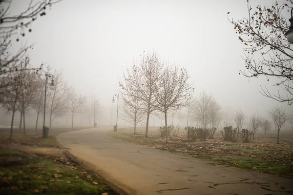 Vista panorâmica de um caminho através do belo parque público de Izvor — Fotografia de Stock