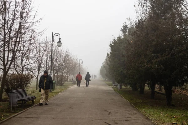 Vista panorámica de un sendero a través del hermoso parque público de Izvor — Foto de Stock