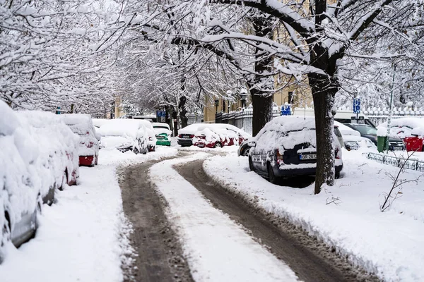Сніг на машинах вранці. Зимовий сезон і крижані автомобілі на р — стокове фото