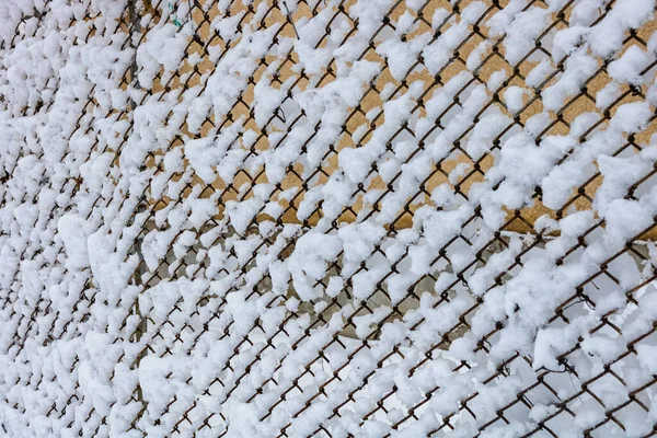 Karlı tel örgülü metalik ağ. Kışın metal ağ örülmüş. — Stok fotoğraf