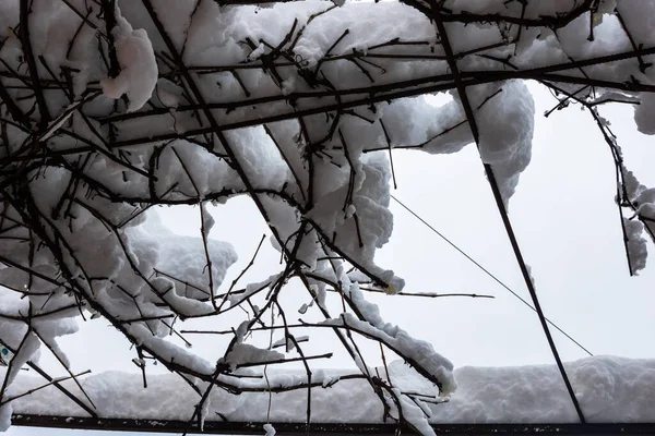 Perfekt geformten Schnee, verschneite Umgebung am Morgen. Winter — Stockfoto